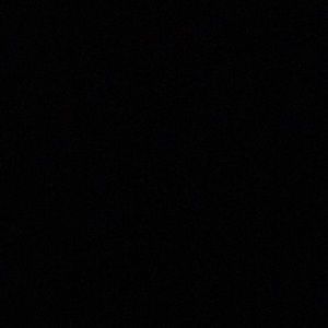 Meet your Posher, Max